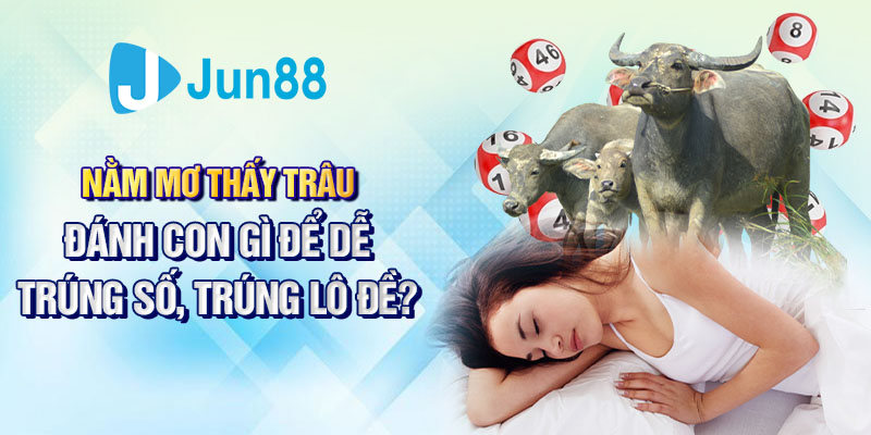 Nằm mơ thấy trâu đánh con gì để dễ trúng số, trúng lô đề?