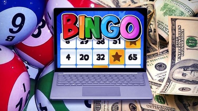 Hiểu luật chơi Bingo để chiến thắng dễ dàng